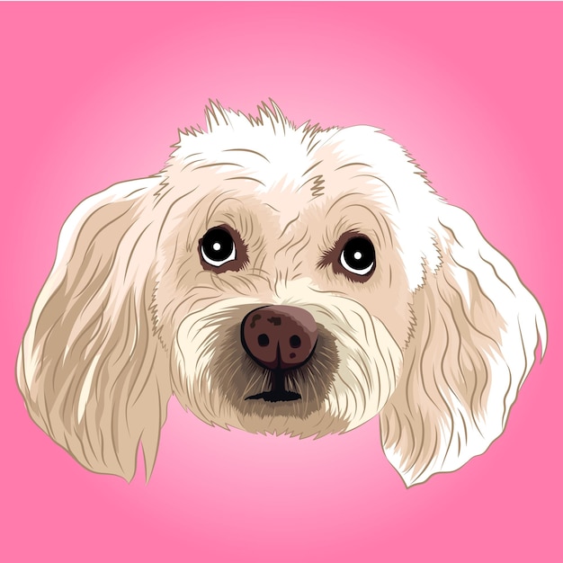 Vector cabeza de perro french poodle blanco dibujado a mano