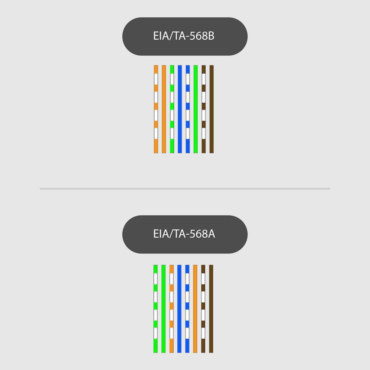 Vector cable utp  network cat 5 t568b t568a. vector illustration