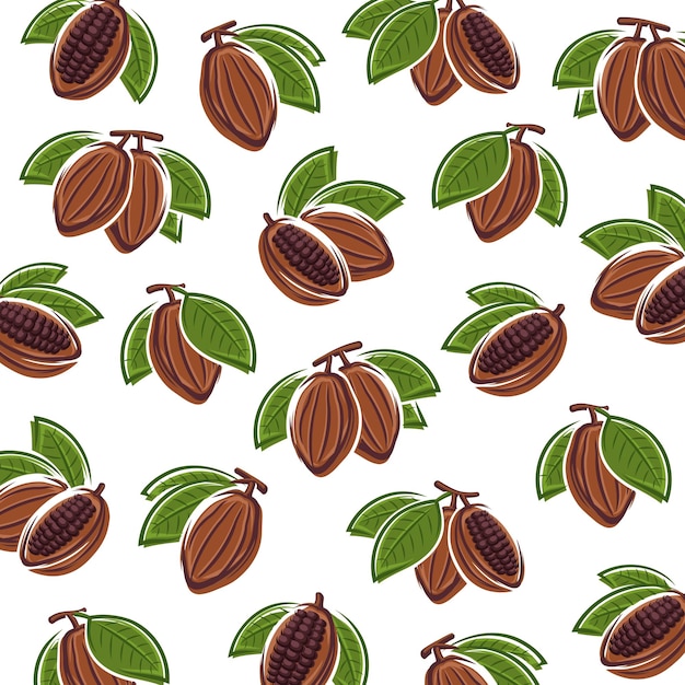 Cacao beans background. Vector illustration