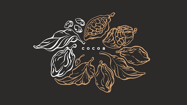 Cacao cirkel symbool Grafische boomtak blad Boon fruit Vintage handgetekende tropische kaart