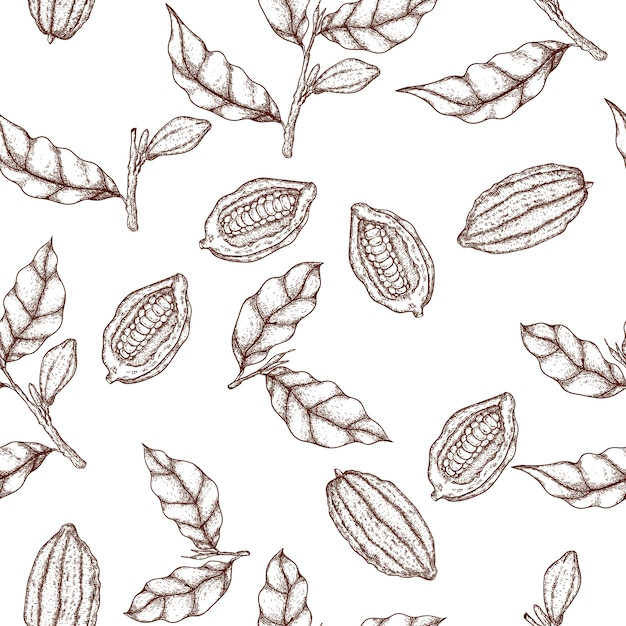 Vector cacao hand drawn seamless pattern