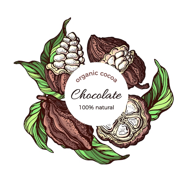 Cacao-label. illustratie, aardontwerp op witte achtergrond