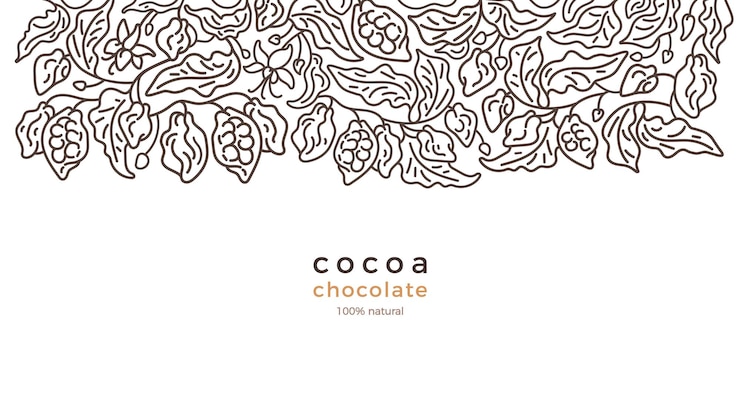 Vector cacao plantation art line border abstract tree simply leaf bean flower