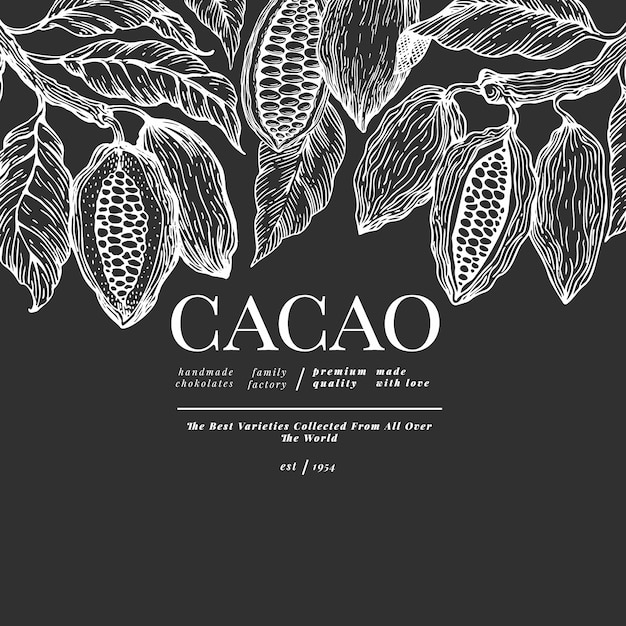 Cacao sjabloon. chocolade cacaobonen achtergrond. hand getekende illustratie op krijtbord. vintage stijl illustratie.