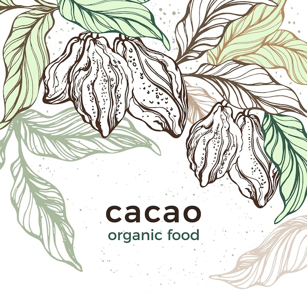 Modello di cacao arte disegnata a mano fagiolo albero botanico foglia di frutta tropicale carta disegnata a mano