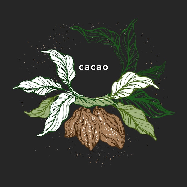 Ghirlanda di cacao. albero botanico disegnato a mano. alimenti dolci biologici