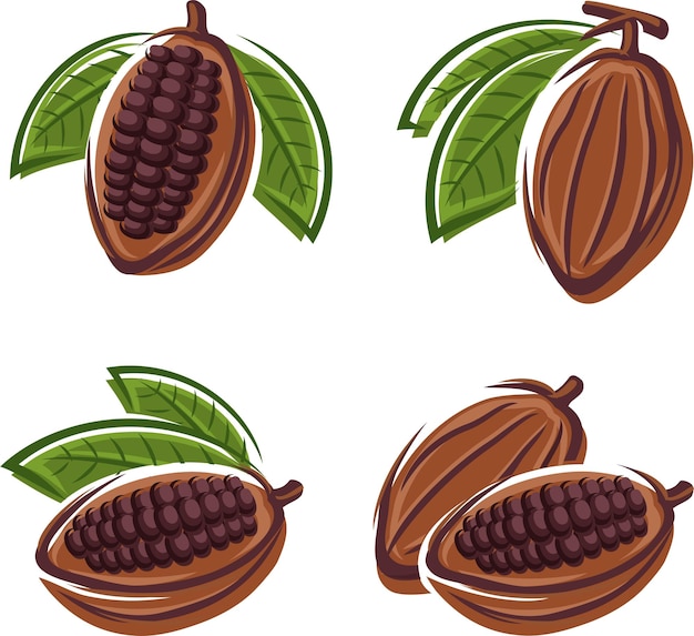 Cacaobonen instellen vector