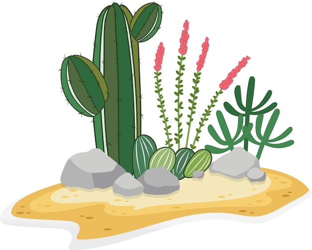 Cacti in dessert vector illustration