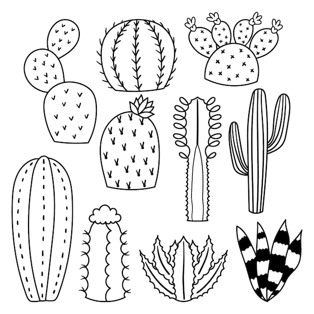 Vector cacti linear icons are minimalist black and white simplified representations of cactus plants using clean lines and basic shapes to convey their unique characteristics and forms vector illustration