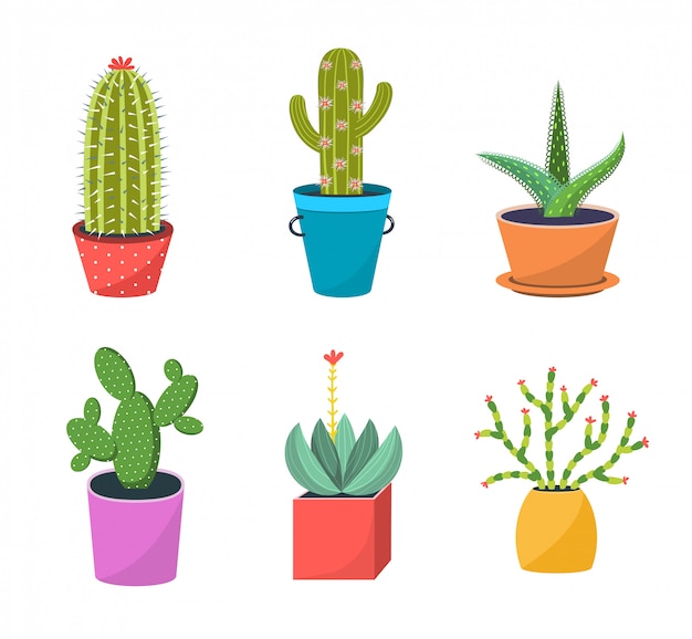 Cacti in pots flat  illustration set