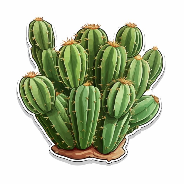 Vector cacti sticker