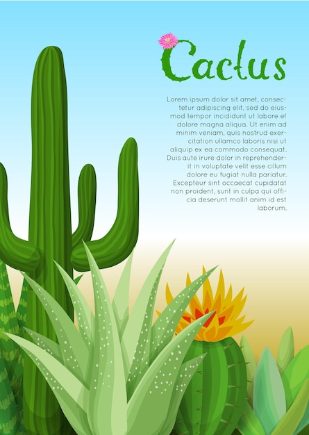 Cacti and succulents poster