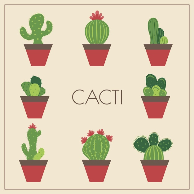 Cacti