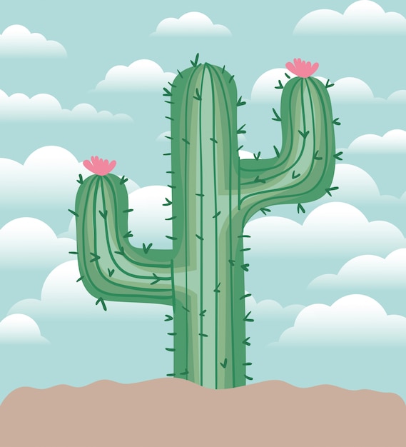 Cactu geplant in tuin pictogram