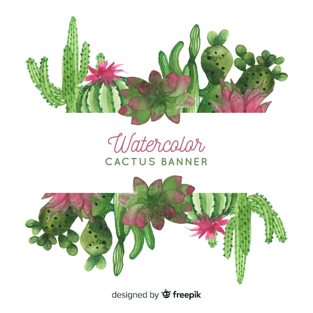 cactus background with blank banner 