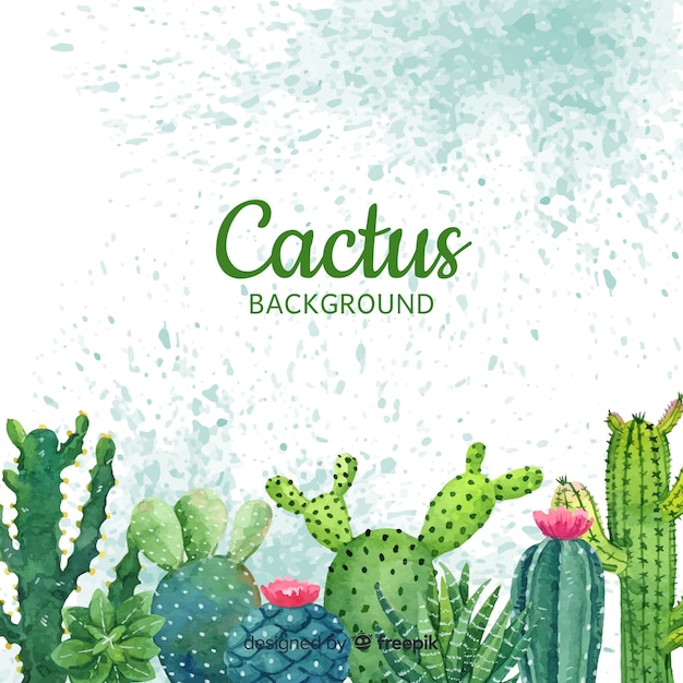 Vector cactus background