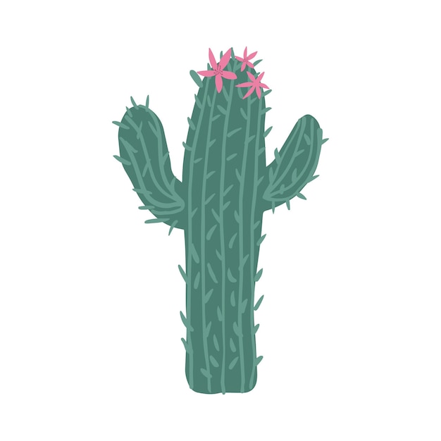 Cactus bloem geïsoleerd op witte achtergrond Cactus in doodle stijl Leuke prikkige groene cactus