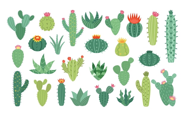 Cactus bloemen set arizona iconen van bloesem woestijn cactussen schattige mexicaanse planten stekelige vetplanten en ficusen exotisch groen en kamerplanten vector geïsoleerde botanische illustratie