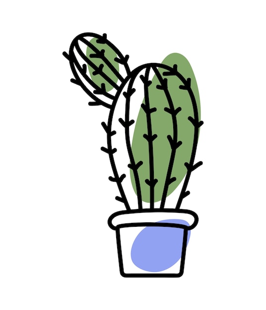 A cactus in a blue pot izolated on a white background