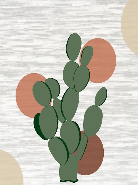 Cactus botanie foto ilustration natuur