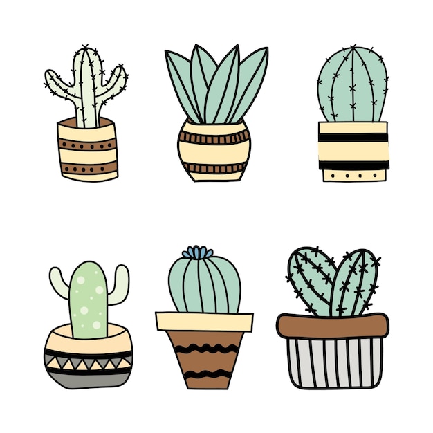 Vettore cactus, piante di cactus decorate, icona di piante succulente, illustrazione, grafica, clipart