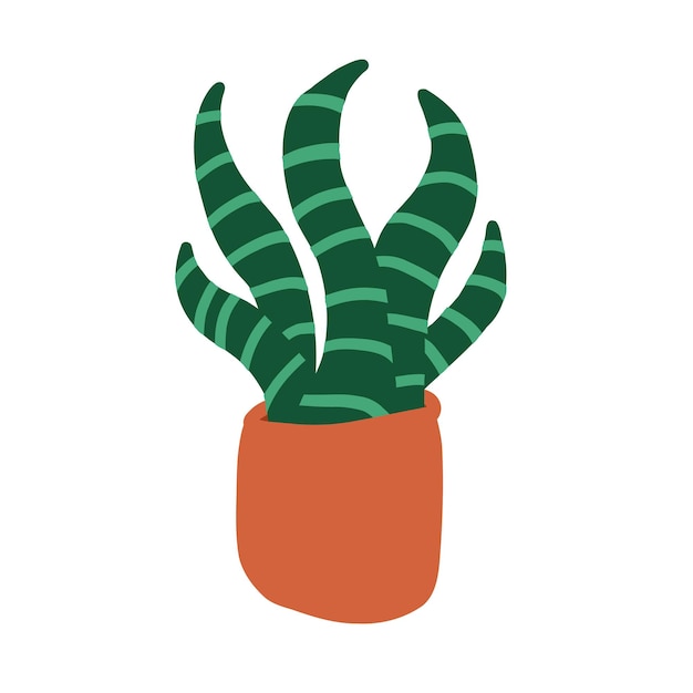 Cactus in cartoon flat style