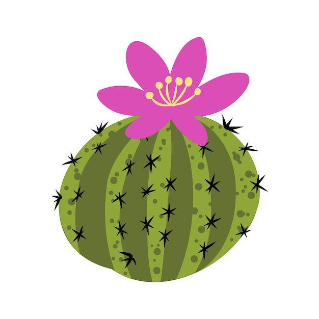 Cactus cartoon vector and illustration hand drawn style isolated on white background