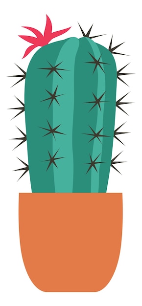 Vector cactus in ceramic pot blossom succulent houseplant icon