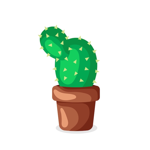 Cactus in un vaso di terracotta