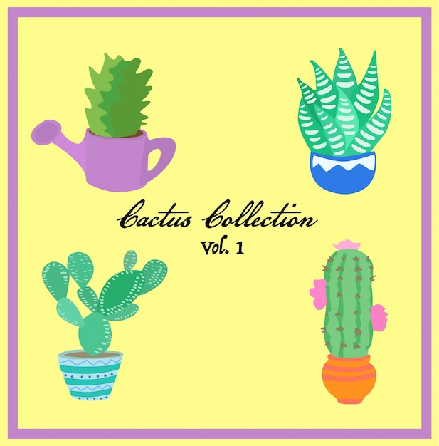 Cactus-collectie