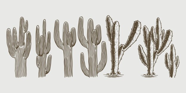 Stile vintage disegnato a mano della collezione di cactus