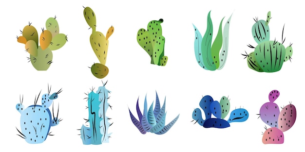 Cactus Collections Set Vector