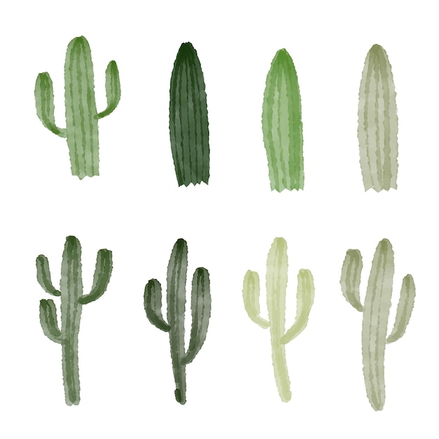 Cactus collections vector design