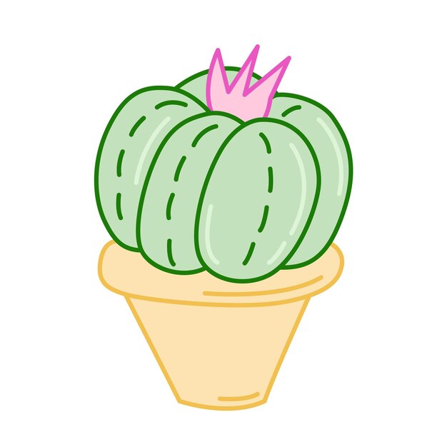 cactus colored vector illustration