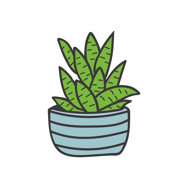 Cactus colorful doodle illustration in vector