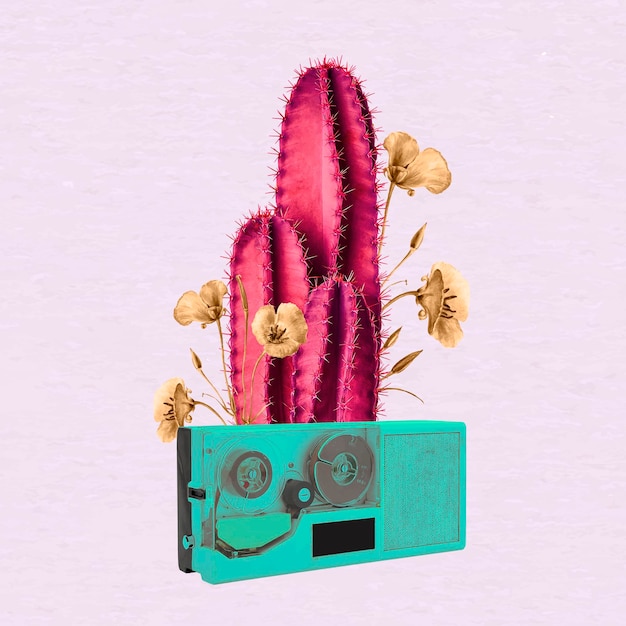 Vector cactus desert musical tape