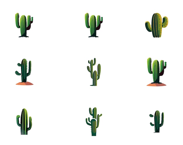 Cactus Desert plants Hugh Big Collection Realistic Vector Illustration Isolated On White Background