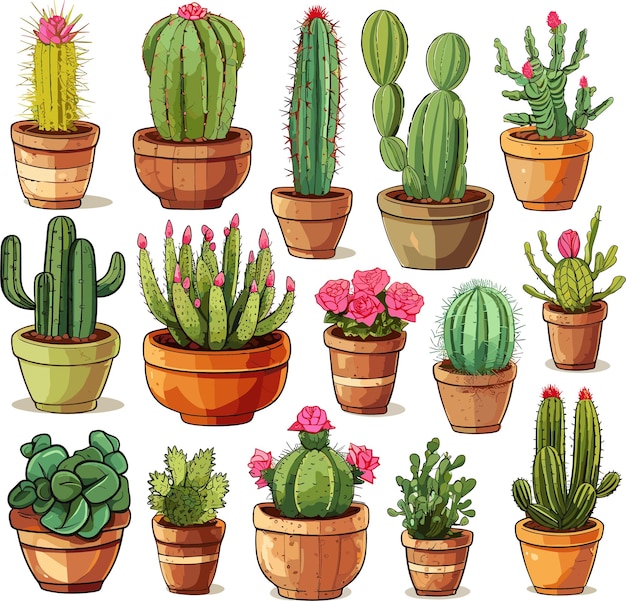 Vector cactus design elements on white background