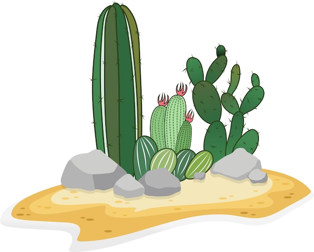 Vector cactus in dessert dessert landscape with cactuses vector illustration