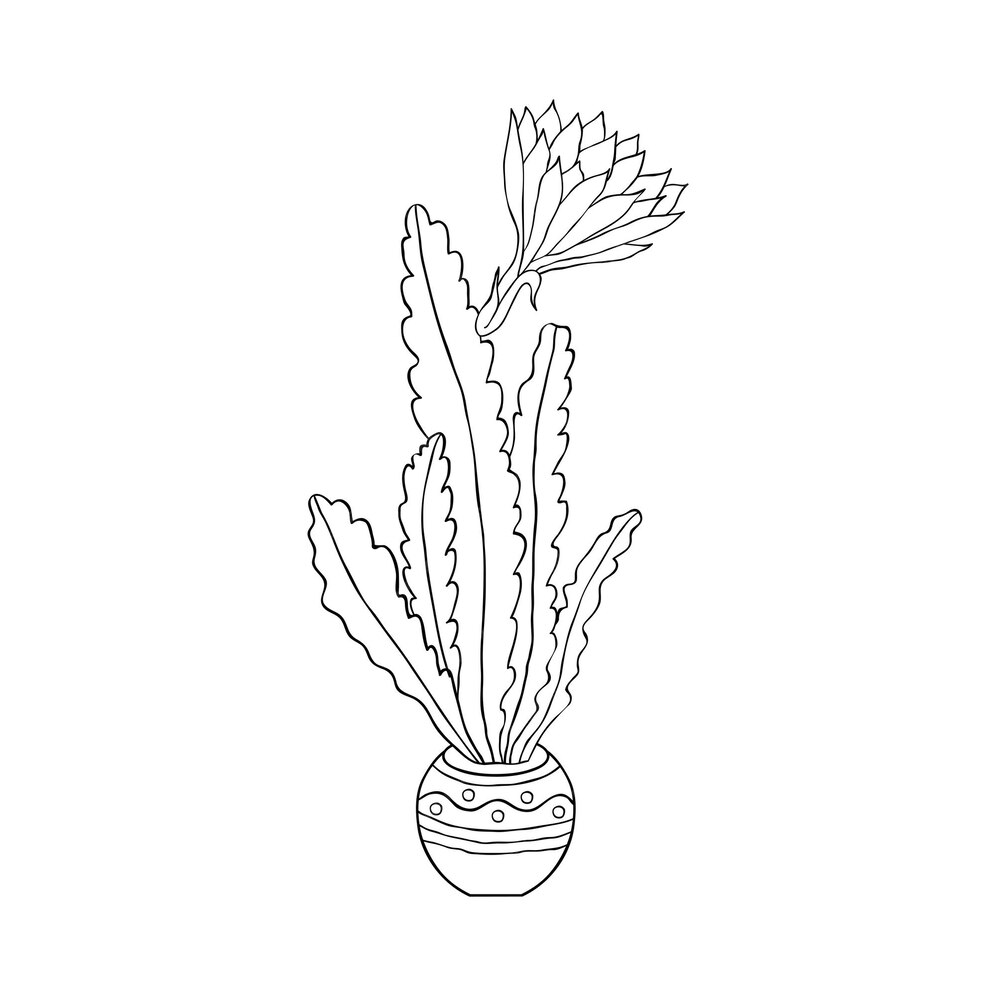 Premium Vector | Cactus in doodle style isolated on white background