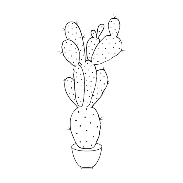 Cactus in stile doodle isolato su priorità bassa bianca. pagina da colorare per bambini e adulti.