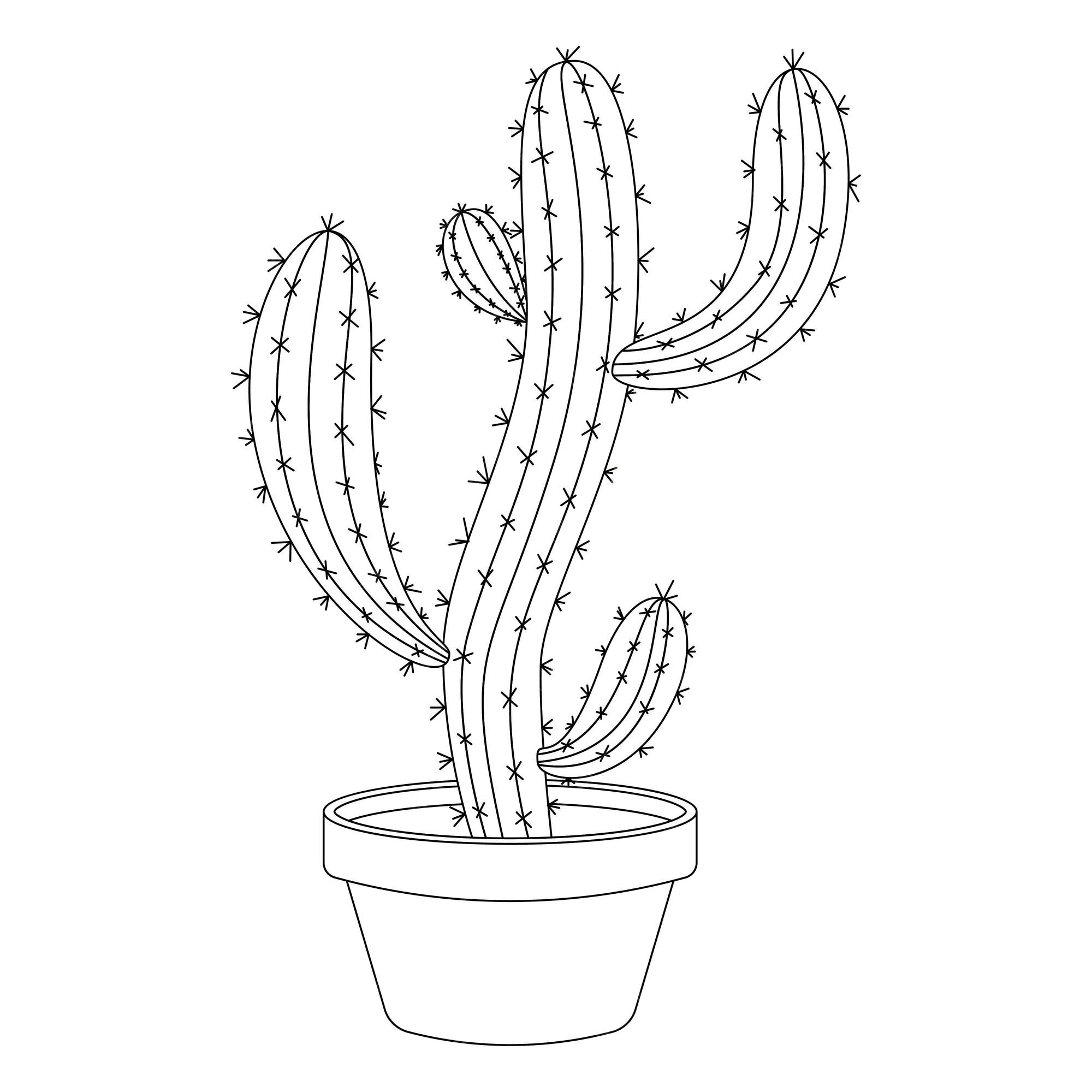 flower pot pencil drawing  Cactus drawing, Nature art drawings, Art  drawings sketches simple