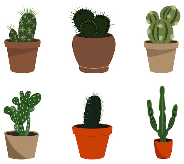 Cactus drawings set of cacti in pots