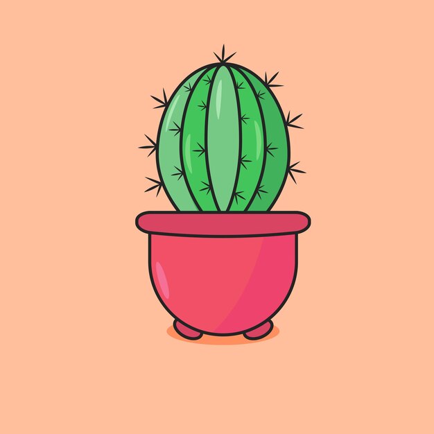 cactus flower plant in a pink pot