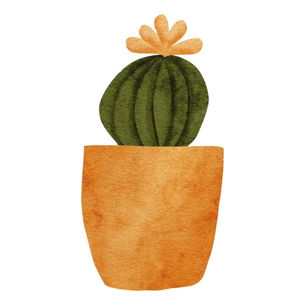 Cactus flower pot houseplant watercolor paint illustration