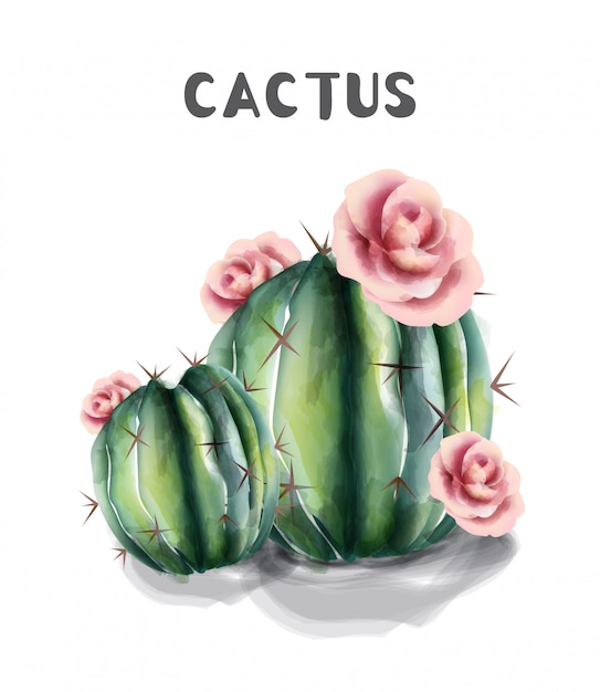 Cactus and flowers isolated watercolor