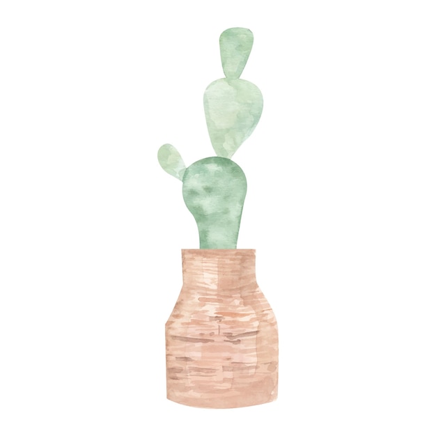 Cactus geïsoleerd op een witte achtergrond vector aquarel hand getekende set illustratie