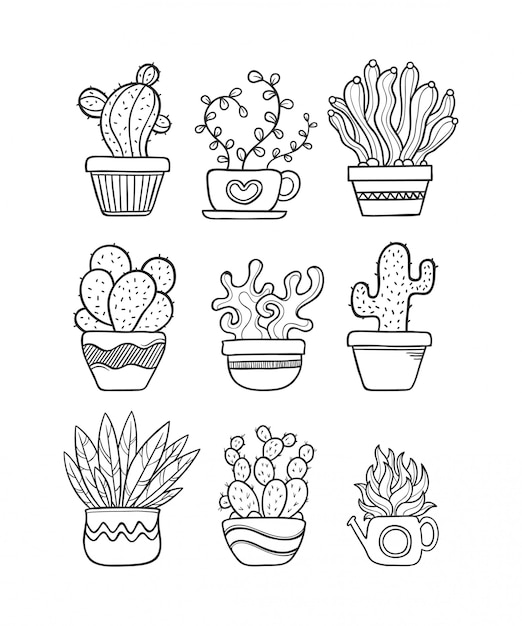 Doodle disegnato a mano di cactus da colorare