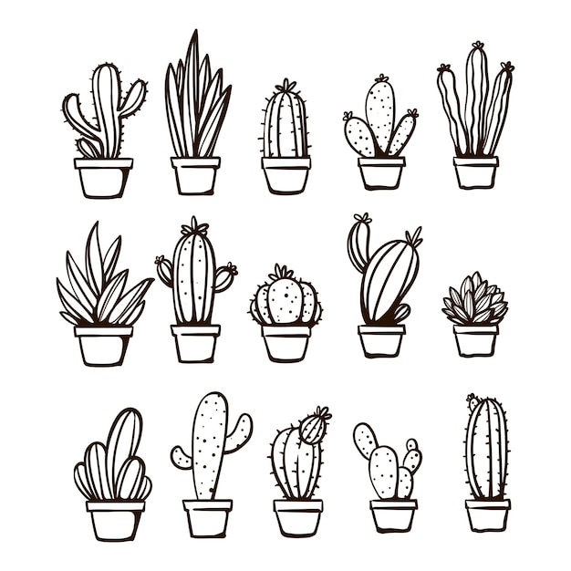 Cactus hand drawn set