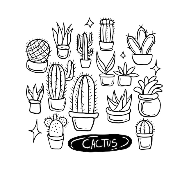 cactus handrawn doodle illustrations vector